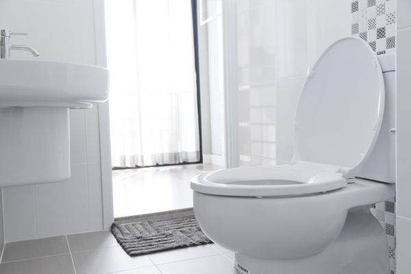 Cost of Toilet Relocation in Chico